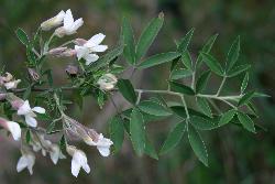 Image: Trevor James © Trevor James 